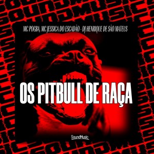 MC Pogba的專輯OS PITBULL DE RAÇA (Explicit)