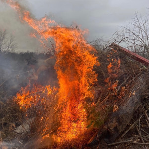 Listen to Coming Days song with lyrics from Carl Anderson