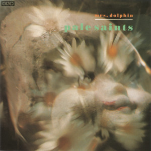 Dengarkan Colours and Shapes lagu dari Pale Saints dengan lirik