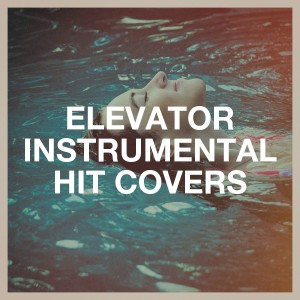 Cover Nation的專輯Elevator Instrumental Hit Covers