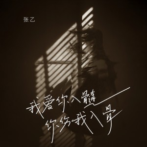 Album 我爱你入髓你伤我入骨 from 张乙