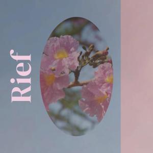 Listen to Its Protuberance song with lyrics from Phine Feer