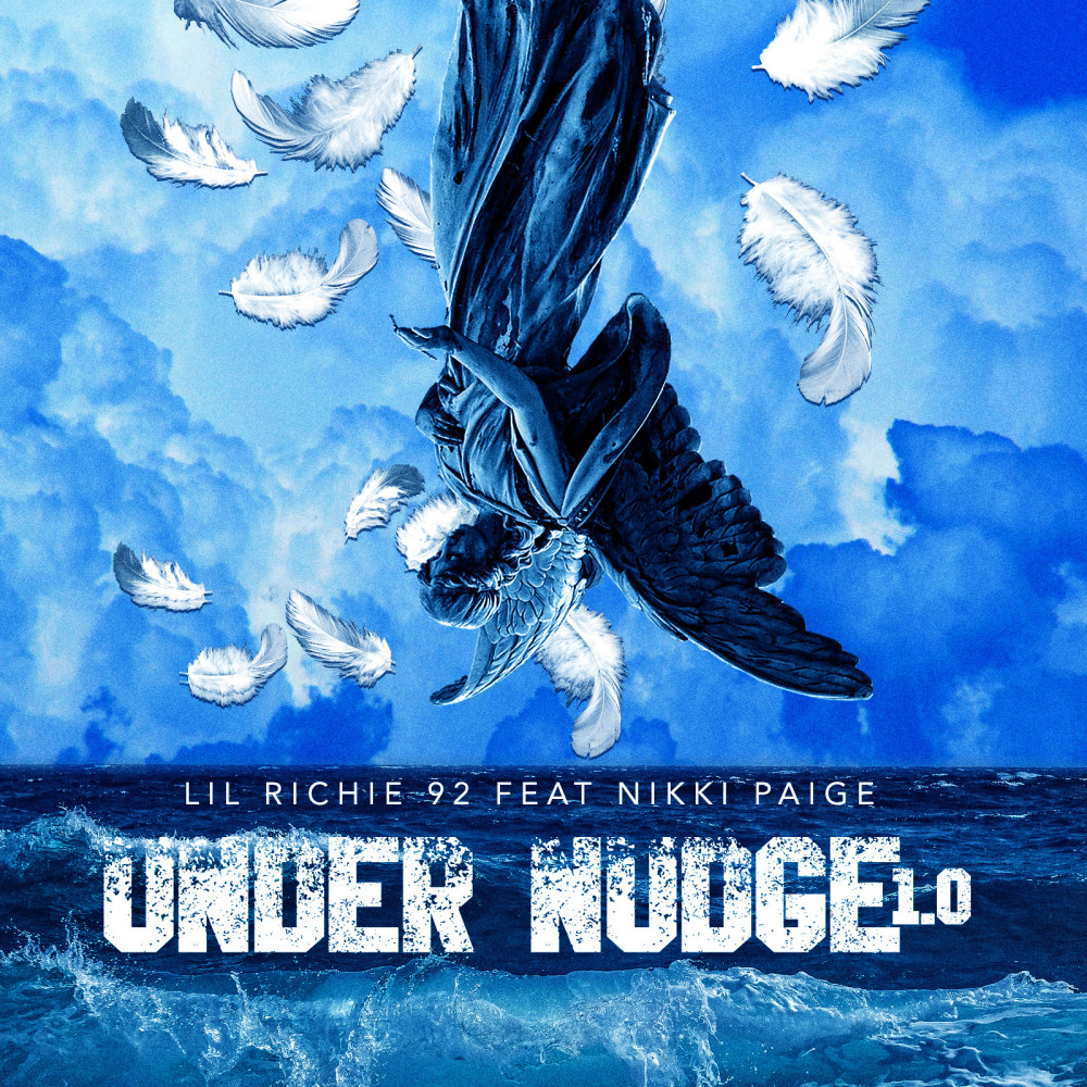 Under Nudge 1.0