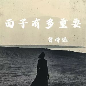 Listen to 面子有多重要 (DJ版) song with lyrics from 曾诗涵