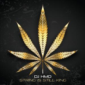 收聽DJ HMD的String is Still King (feat. Manjit Pappu & BattleKATT) (Radio Edit)歌詞歌曲