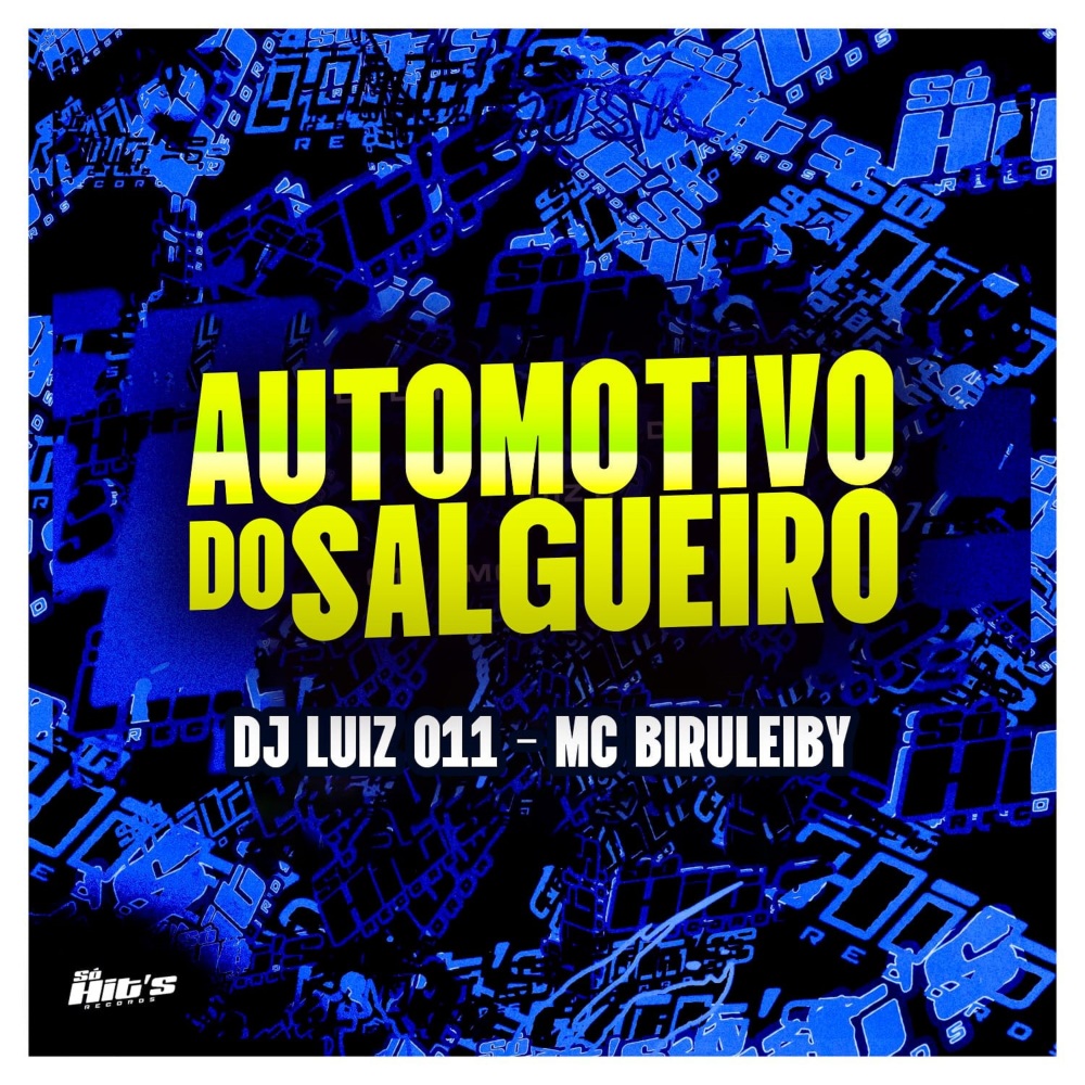 Automotivo do Salgueiro (feat. MC Biruleiby) (Explicit)