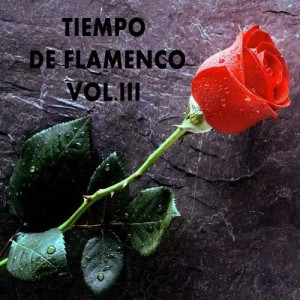 ดาวน์โหลดและฟังเพลง Dame Fuerza Tu Dios Mio พร้อมเนื้อเพลงจาก Juanito Maravillas