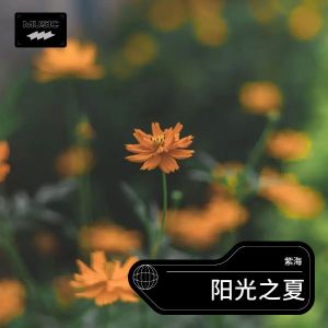Album 阳光之夏 from 紫海