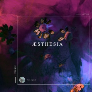 Listen to Camomile song with lyrics from Aluria