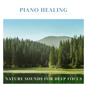 贵族音乐古典的专辑钢琴轻音乐 疗愈森林 自然系专注纯音乐