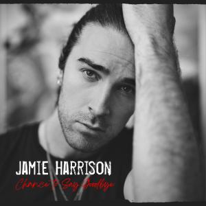 收聽Jamie Harrison的Chance to Say Goodbye (Live Piano Version)歌詞歌曲