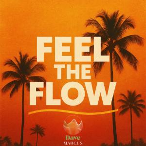 收聽Dave Marcus的Feel the Flow歌詞歌曲
