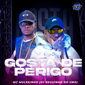 Listen to GOSTA DE PERIGO (Explicit) song with lyrics from mc mulekinho
