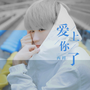 收聽西槿Princekin的愛上你了歌詞歌曲