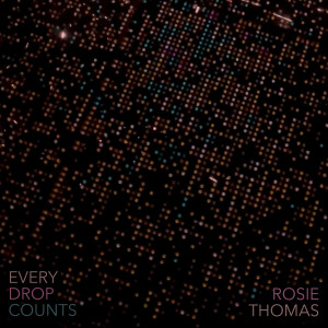 Rosie Thomas的专辑Every Drop Counts