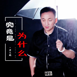 收聽唐大鵬的究竟是爲甚麼歌詞歌曲
