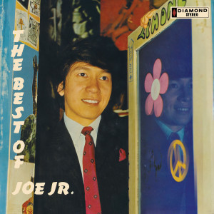 收聽Joe Jr.的You Can Never Stop Me Loving You歌詞歌曲