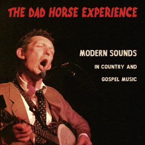Album Modern Sounds In Country And Gospel Music oleh The Boyd Rice Experience