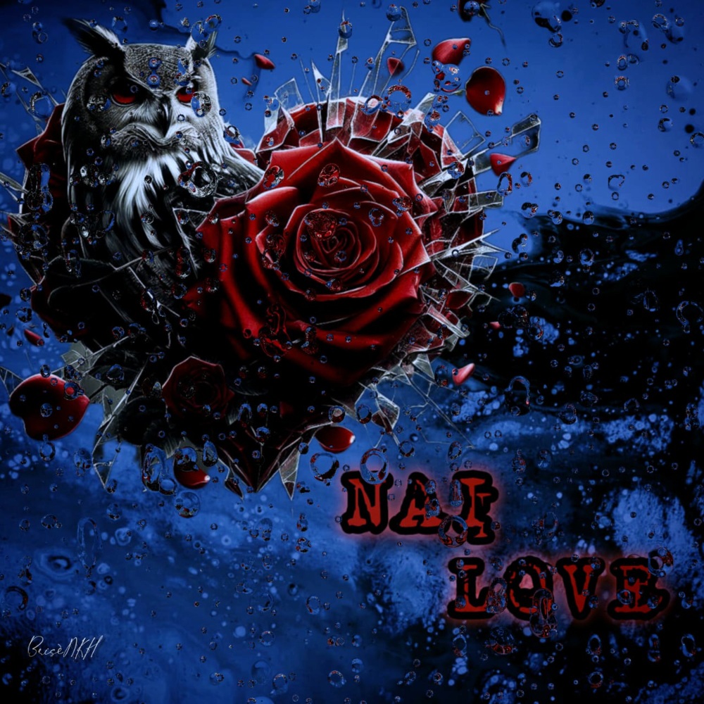 NAI LOVE