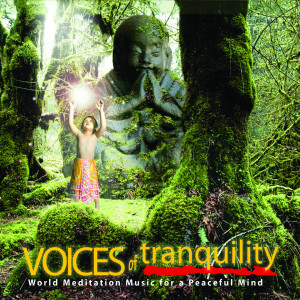 อัลบัม Voices of Tranquility ศิลปิน See New Project