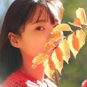 Listen to 사랑한 적 있나요 (Inst.) song with lyrics from 케이플라워