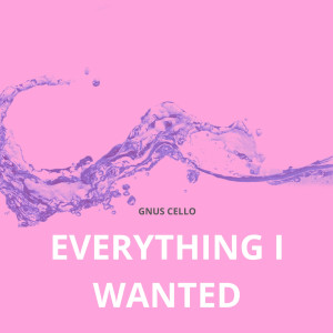 ดาวน์โหลดและฟังเพลง Everything I Wanted (For Cello and Piano) พร้อมเนื้อเพลงจาก GnuS Cello