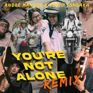 Album YOU'RE NOT ALONE (Remix) oleh Andre Mandor