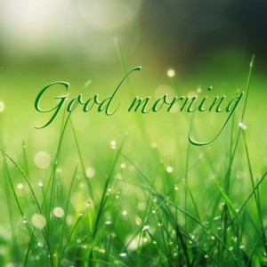 Listen to Good Morning (feat. 화평) song with lyrics from 유태환