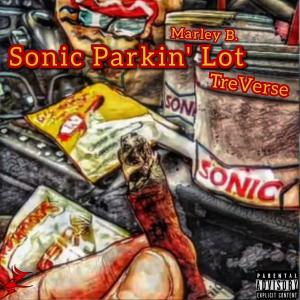 收聽TreVerse的Sonic Parkin' Lot (feat. Marley B.) (Explicit)歌詞歌曲