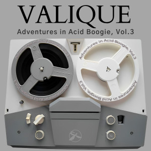 ดาวน์โหลดและฟังเพลง You're Gone (Valique 2023 Refreshed Dub) พร้อมเนื้อเพลงจาก Smoove & Turrell