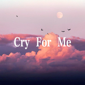 收聽Ami的Cry For Me (日本第一深情)歌詞歌曲