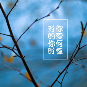 收聽楊靈通的對你的愛你何時懂歌詞歌曲