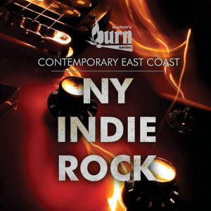 Album NY Indie Rock from Various Artists