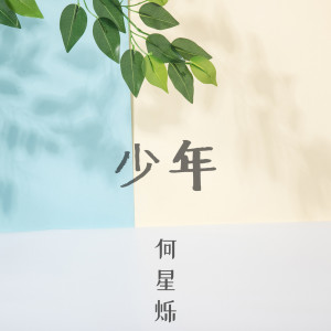 Listen to 少年 song with lyrics from 何星烁