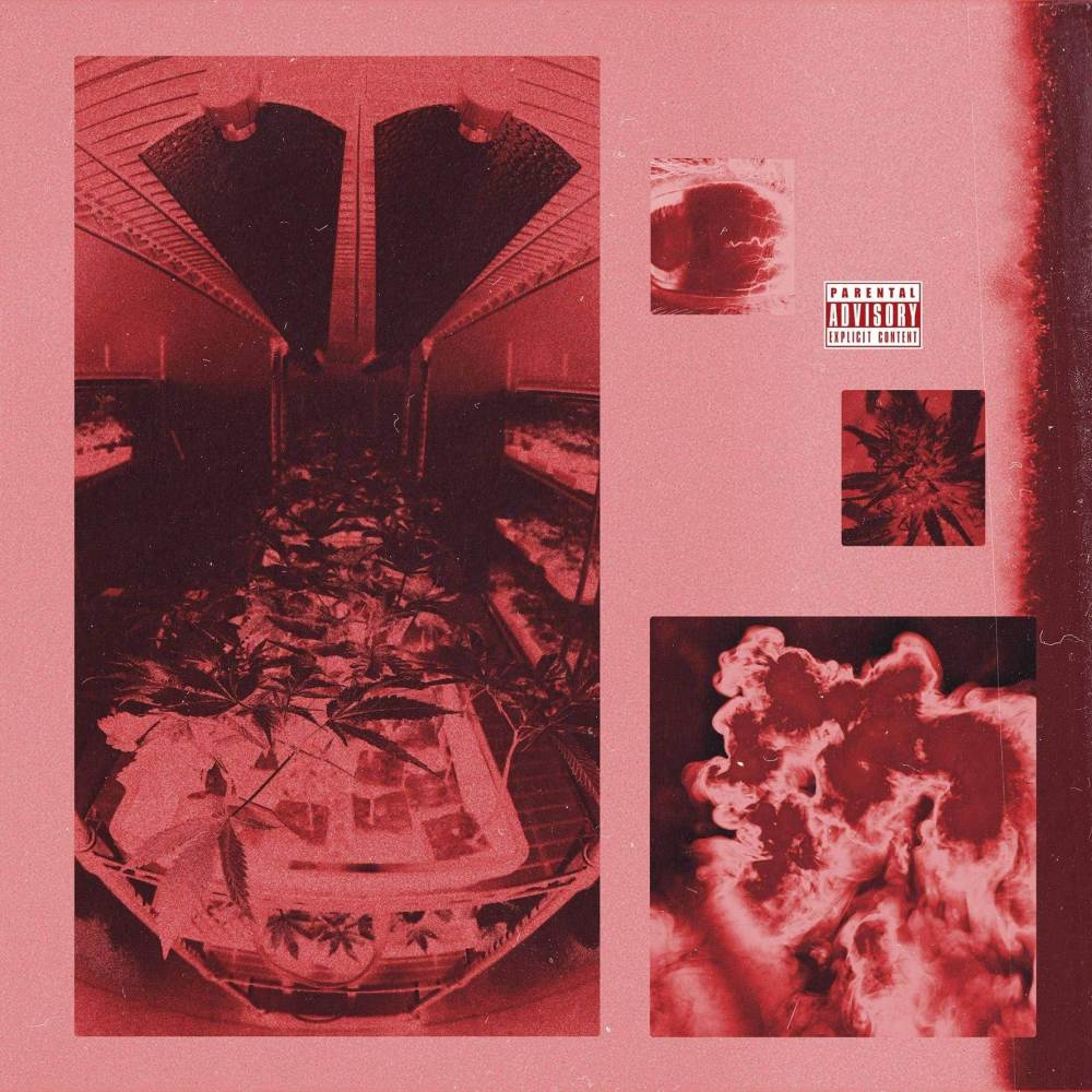 BLUNT FORCE TRAUMA (Explicit)