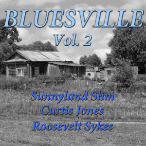 Bluesville Vol. 2