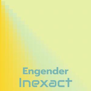 Various的专辑Engender Inexact