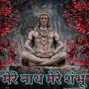 ดาวน์โหลดและฟังเพลง He Nath Mere Shambhu (Dialogue Mix) พร้อมเนื้อเพลงจาก Ashish Thakur
