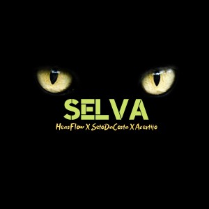 ดาวน์โหลดและฟังเพลง Selva(Seto Dacosta, Acertijo, Matabeat) (Explicit) พร้อมเนื้อเพลงจาก Heas Flow
