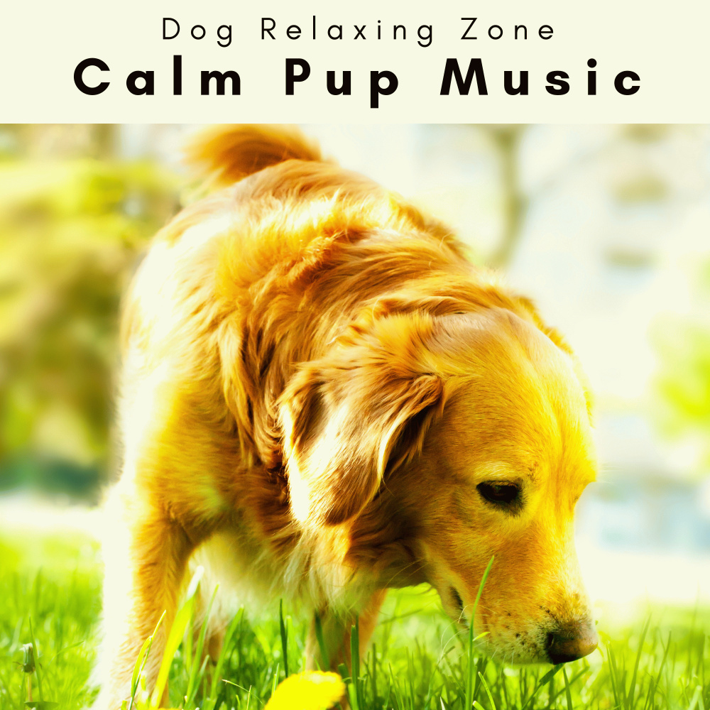 Calming Sounds for Cuddly Dogs