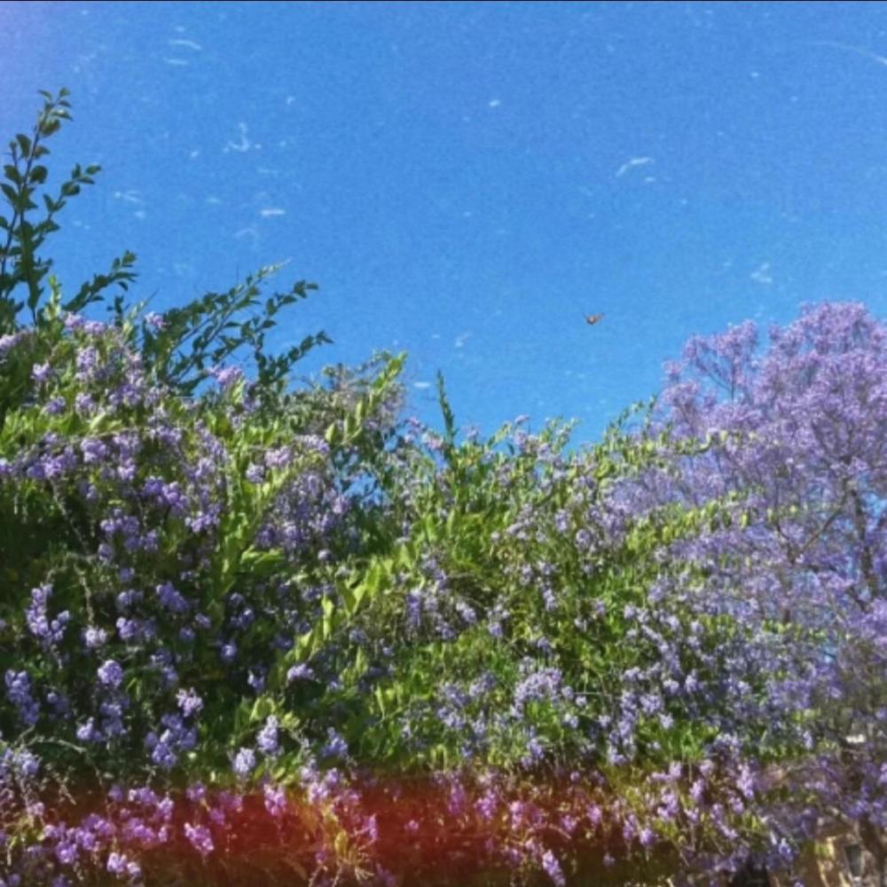 fall & break (feat. NOL!N) (Explicit)