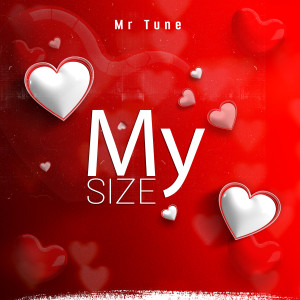 Mr.Tune的專輯My Size