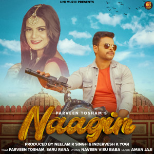 Album Naagin from Parveen Tosham