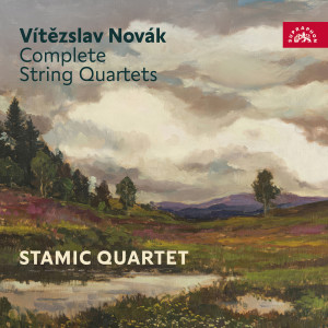 Listen to III. Andante mesto - Allegro ben ritmico song with lyrics from Stamic Quartet
