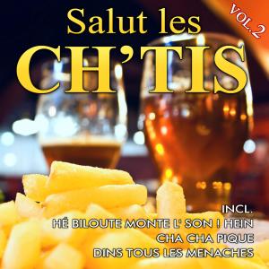 Album Salut les ch’tis, Vol. 2 from DJ Team