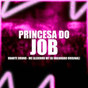 收聽DJ MALVADÃO ORIGINAL的Princesa do Job (Explicit)歌詞歌曲