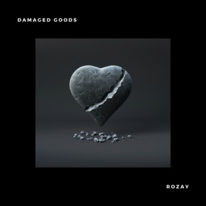 Listen to Damaged Goods song with lyrics from Rozay