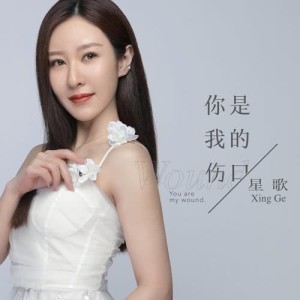 ดาวน์โหลดและฟังเพลง 你是我的傷口 (伴奏) พร้อมเนื้อเพลงจาก 星歌