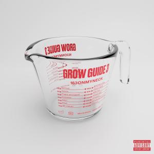 163Onmyneck的專輯GROW GUIDE 3