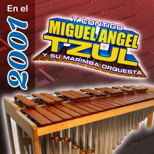 收聽Miguel Angel Tzul y Su Marimba Orquesta的Rancheras del 2001: La Calandria / Ojitos Verdes / Ojitos Soñadores / Lo Vas a Ver歌詞歌曲